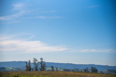 Rural landscape in the pampas of Rio Grande do Sul clipart