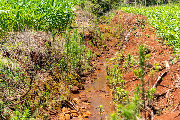 Канал ирригации на кукурузном поле Бразилии.