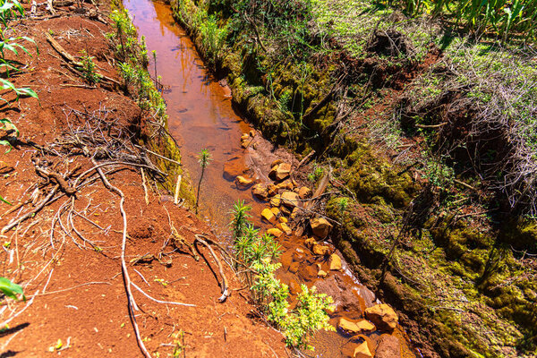 Канал ирригации на кукурузном поле Бразилии.