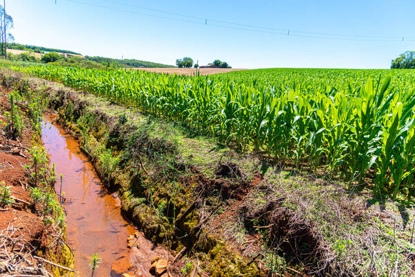 Канал ирригации на кукурузном поле Бразилии.