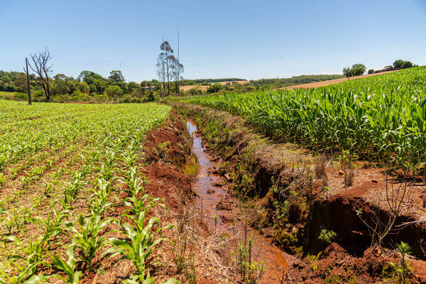 Канал ирригации на кукурузном поле Бразилии.