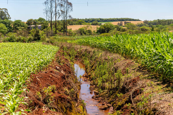 Канал ирригации на кукурузном поле Бразилии.