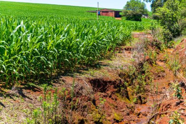 Brezilya 'nın Rio Grande do Sul eyaletindeki Osrio şehrinde rüzgar tarlası