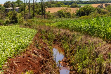 Brezilya 'nın Rio Grande do Sul eyaletindeki Osrio şehrinde rüzgar tarlası