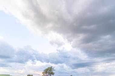 Rain clouds and cumulonimbus clouds over the pampa biome. clipart