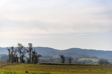 Rio Grande do Sul 'un kırsal kesimlerinde.