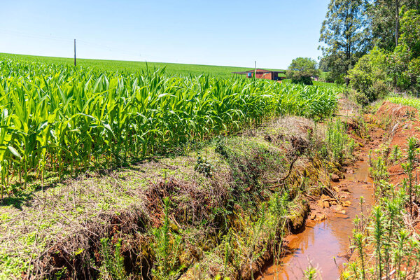 Irrigation channel in corn field in Brazil.