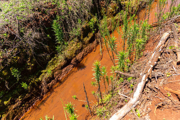 Irrigation channel in corn field in Brazil.