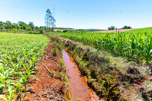 Irrigation channel in corn field in Brazil.