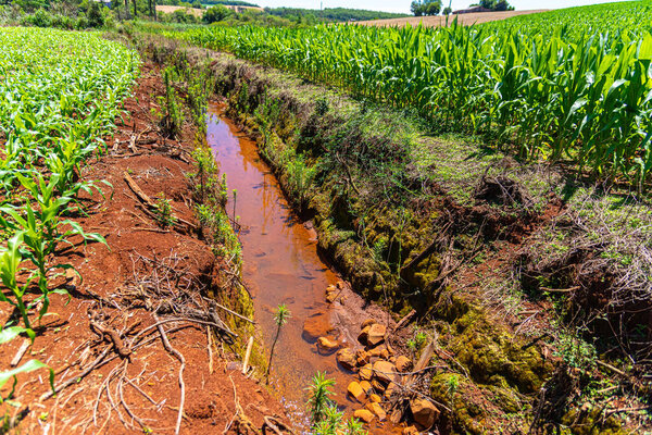 Irrigation channel in corn field in Brazil.