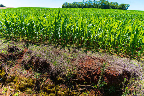Ветряная электростанция в городе Осрио в штате Риу-Гранди-ду-Сул, Бразилия