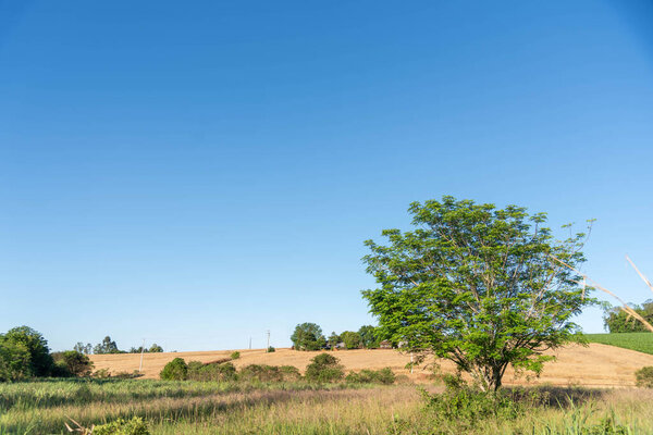 Ветряная электростанция в городе Осрио в штате Риу-Гранди-ду-Сул, Бразилия