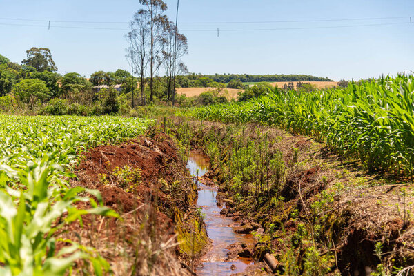 Ветряная электростанция в городе Осрио в штате Риу-Гранди-ду-Сул, Бразилия