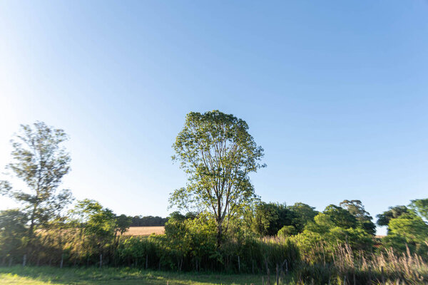 Ветряная электростанция в городе Осрио в штате Риу-Гранди-ду-Сул, Бразилия
