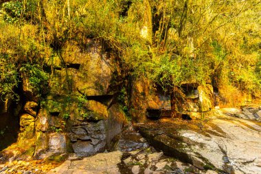 Brezilya 'daki tropikal ormanda taş akıntısı.