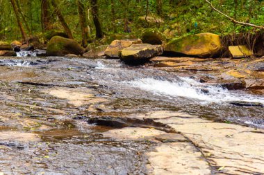 Brezilya 'daki tropikal ormanda taş akıntısı.