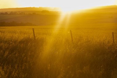 Pampa 'da günbatımı