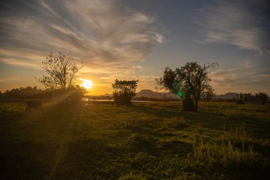 Golden sun at dusk in the pampas of Rio Grande do Sul. clipart