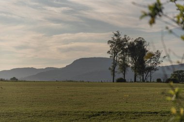 Güney Brezilya 'da kırsal bir bölgede manzara