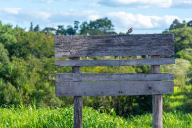 Old wooden sign on the side of the highway.. clipart