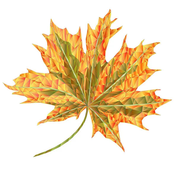 Colored Autumnal Leaf Maple Polygons Mosaic Kaleidoscope Vector Illustration Editable — Stock Vector