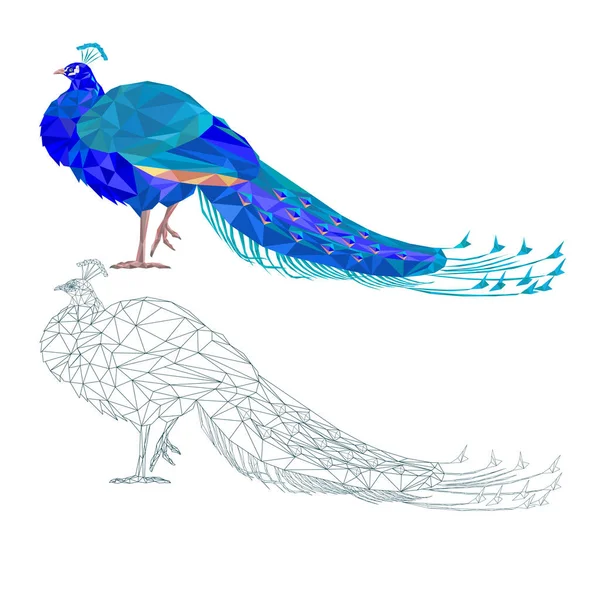 Peacock Beauté Exotique Oiseau Abstrait Polygones Sur Fond Blanc Vintage — Image vectorielle