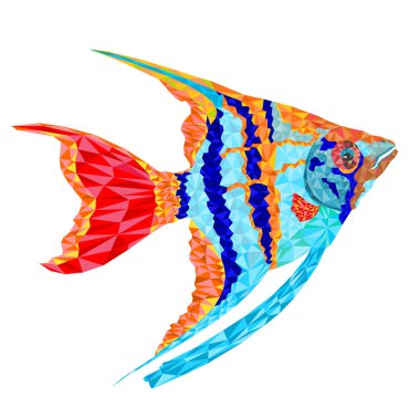 Freshwater Pterophyllum Scalare polygons Amazonian variety Angelfish aquarium fish Isolated on white background vintage vector illustration editable hand draw