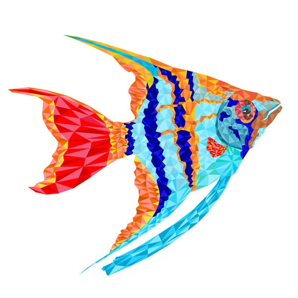 Freshwater Pterophyllum Scalare polygons Amazonian variety Angelfish aquarium fish Isolated on white background vintage vector illustration editable hand draw