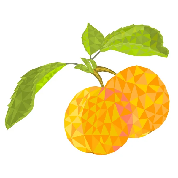 带有叶子的杏仁甜食果多边形向量说明性可编辑手绘 — 图库矢量图片
