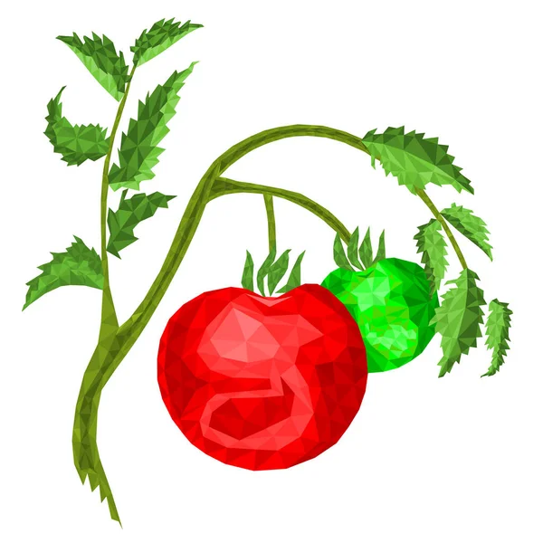 Tomates Com Polígonos Foliares Alimentação Saudável Fundo Branco Vetor Ilustração — Vetor de Stock