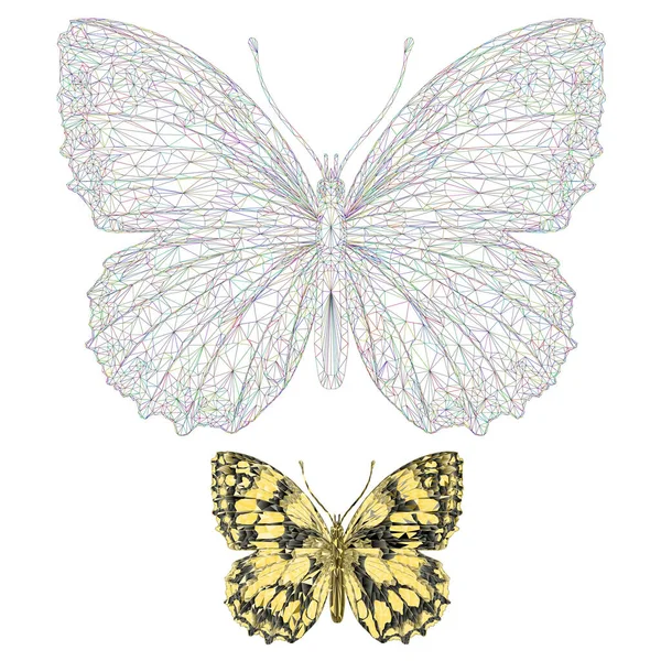 蝴蝶美丽的草地和森林昆虫的轮廓和自然多角形矢量 可编辑手工绘图 — 图库矢量图片