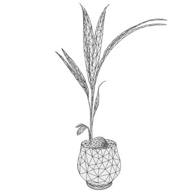 Beyaz arkaplan vektörü illüstrasyonunda düzenlenebilir el çizimi üzerinde düşük poligon çizilmiş tropik hindistan cevizi palmiyesi.