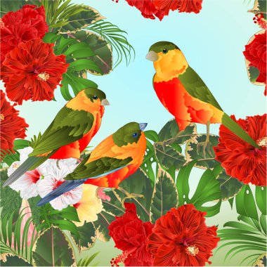 Tropikal kuşlar ve tropikal çiçekler kırmızı amber çiçeği suluboya vintage vektör ilüstrasyon el çizimi