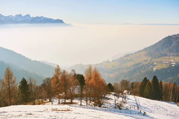 Winterlandschaft Caux Schweiz Genfersee Komplett Nebel Versteckt — Stockfoto