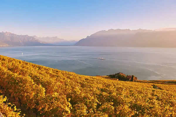 Golden Landscape Lavaux Vineyards Autumn Switzerland Stock Picture
