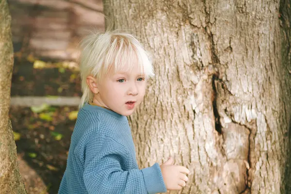 Outdoor Portrait Adorable Preschooler Year Old Boy Playing Trees Playground Stock Picture
