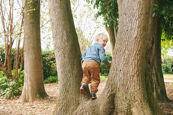 愛らしいプリスクーラーのアウトドア肖像 遊び場で木で遊ぶ5歳の少年 ストックフォト