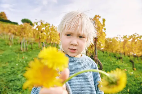 秋のブドウ畑で遊ぶ愛らしい幼い男の子の屋外の肖像画 幸せでアクティブなライフスタイル ロイヤリティフリーのストック画像