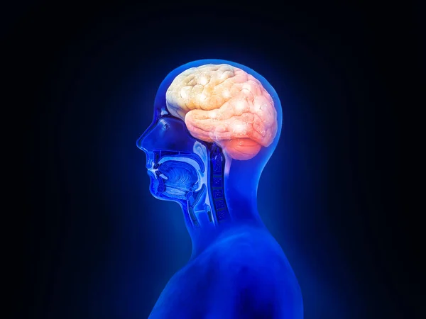 Human head with a luminous brain network, consciousness, artificial intelligence, 3d render