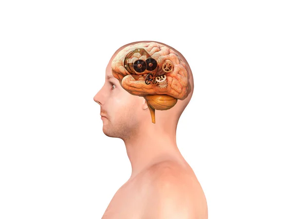 Testa Con Ingranaggi Concetto Brainstorming Carico Cerebrale Fili Cerebrali Ingranaggi — Foto Stock