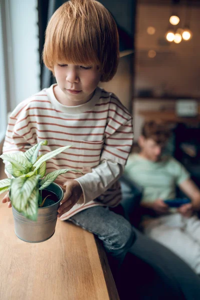 Home plant. Cute ginger boy hoding a flower pot with a home plant