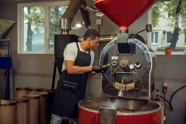 Experienced Roast Master Removing Sample Spoon Coffee Beans Roasting Machine — Stock Photo, Image