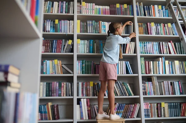 拿着一本书 女孩站在椅子上 从架子上拿起一本书 — 图库照片