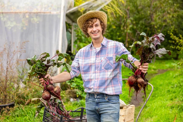 Smiling Happy Farm Worker Demonstrating Young Fresh Organic Beetroots Tops — Stock Photo, Image