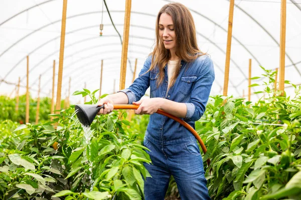 在温室里用花园软管浇灌植物的年轻女菜农高兴地笑着 — 图库照片