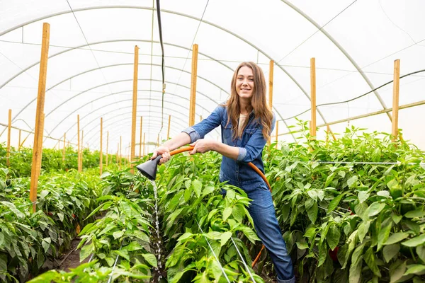 温室内の赤ピーマンの植物に水をやるために庭のホースを使用して若い女性農業者を笑顔 — ストック写真