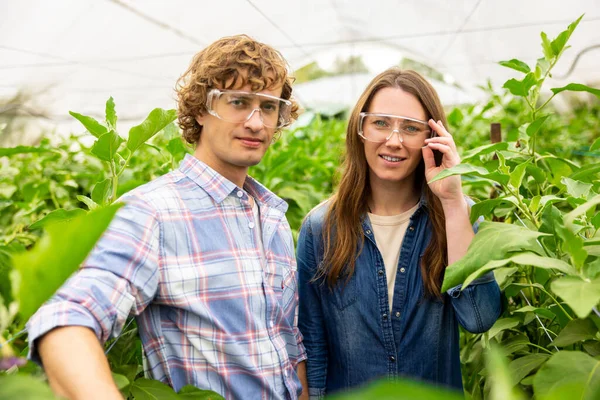 一位农学家拍下了自己和他的笑容可亲的可爱女同事在蔬菜作物中的蜡笔画 — 图库照片