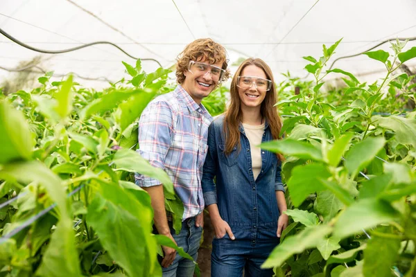 Jonge Paar Vrolijke Agronomen Poseren Voor Camera Onder Landbouwgewassen Kas — Stockfoto