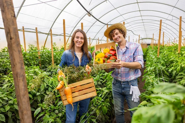 Smiling female agriculturist and her contented colleague holding wooden crate with carrots and bell peppers