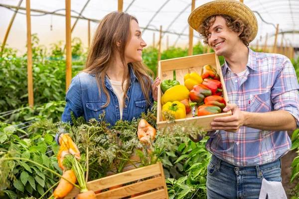 快乐的女农和她快乐的同事拿着装有收获蔬菜的木箱 互相微笑着 — 图库照片